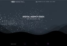 Web Design in Essex